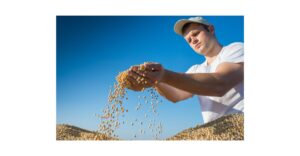 海外で味噌を作る冒険：試行錯誤の物語