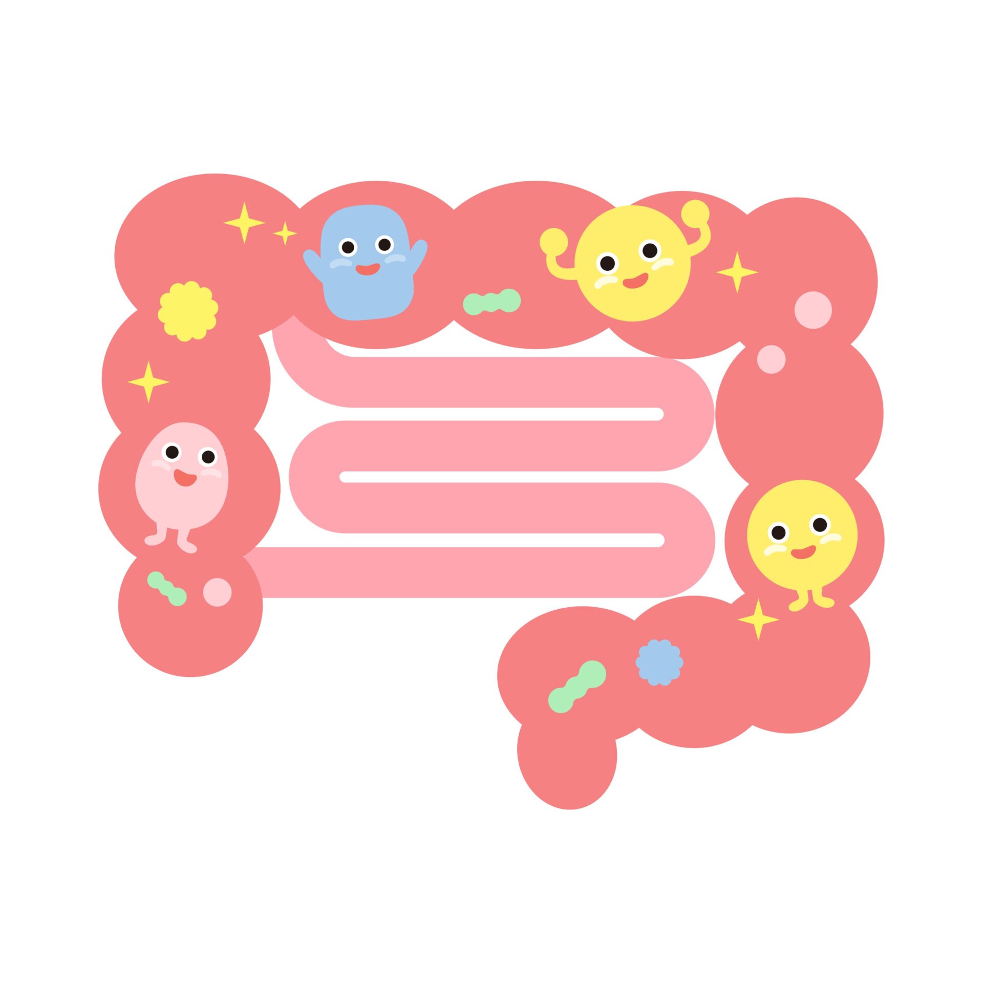 「腸内に棲む善玉菌をイメージしたイラスト｜腸内環境の改善と発酵食品の健康効果を視覚的に表現」