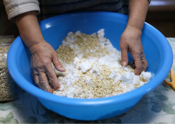 大豆と麹塩を手で混ぜる仕込み工程｜味噌醸造における発酵準備と材料の均一化
