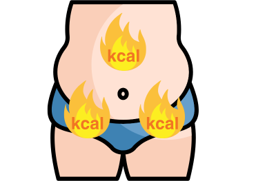 「腹部と太ももに脂肪燃焼を示すイラスト。味噌に含まれる大豆ペプチドの代謝促進効果を視覚化した図。」