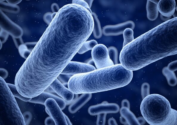 「発酵食品の健康効果を象徴する腸内環境のイメージ図｜善玉菌と腸内フローラのバランス改善を視覚的に表現」