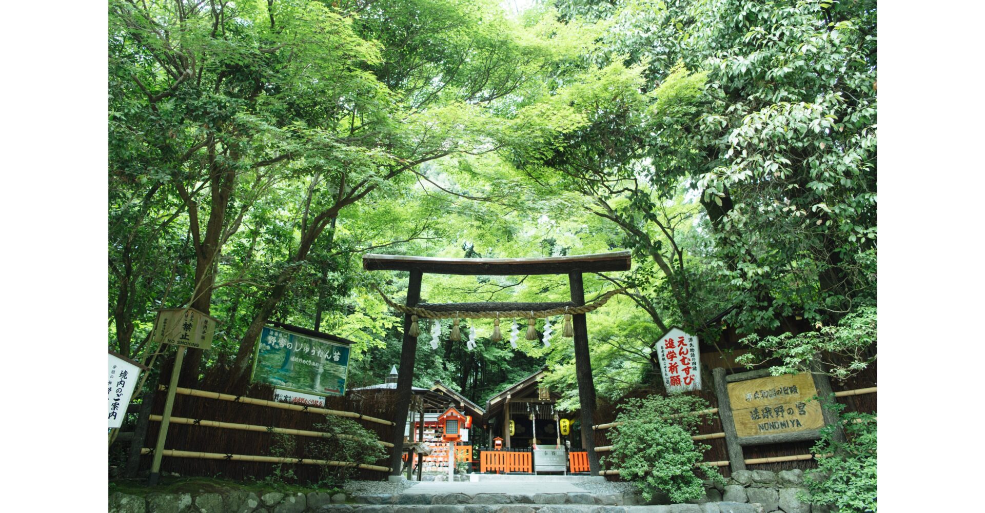 味噌は神に近づく手段だった？神社と発酵の深い関係