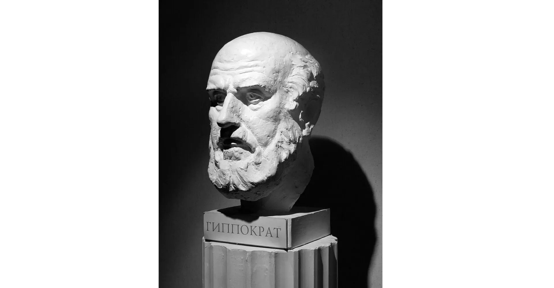 腸と健康の歴史：腸活の科学的起源をたどる