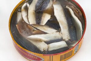 「臭いけれど美味しい！発酵食品の真実」