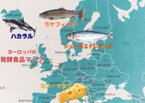 ヨーロッパの驚きの発酵食品：歴史と文化に根ざした独特な食の世界