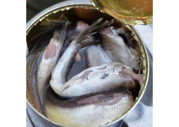 缶詰に詰められた発酵ニシン（シュールストレミング）。強い発酵臭と独特の風味で知られるスウェーデンの伝統食品。