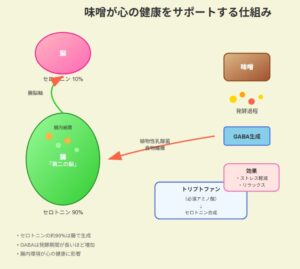 味噌と日本人のメンタルヘルス：発酵食品が育む心の健康