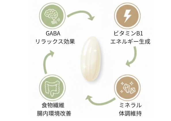 新米の栄養成分 GABA ビタミンB1 食物繊維 ミネラル 図解